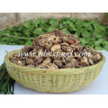 Jambe de champignons Shiitake séchée de Hubei